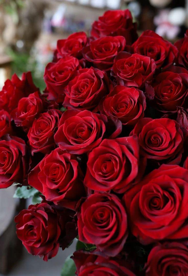 Radiant Rhapsody of Rustic Blooms